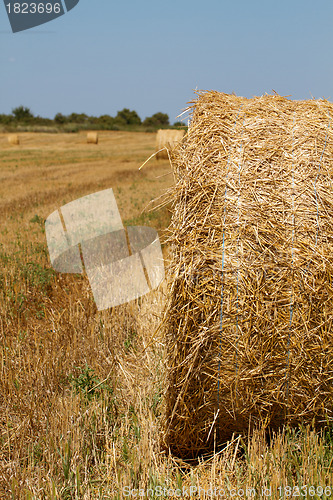 Image of Hay bales