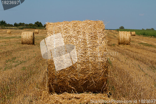 Image of Hay bales