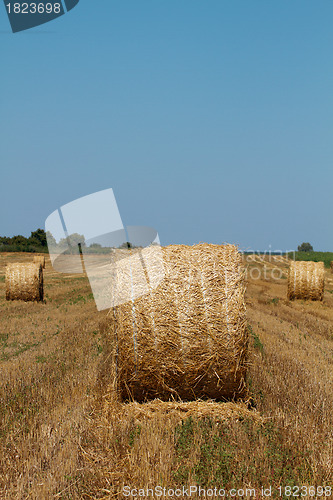 Image of Hay bales