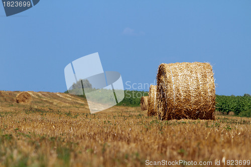 Image of Hay bales