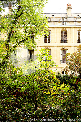 Image of TREES AND BUILDING