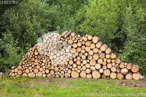 Image of wood stacked for drying in the woodpile