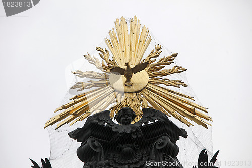 Image of Holy Spirit Bird