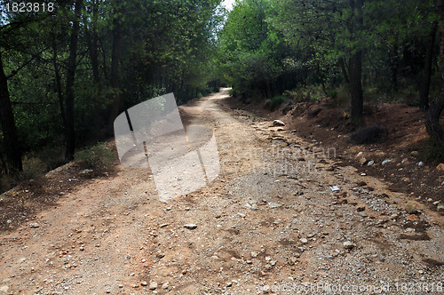 Image of dirt road