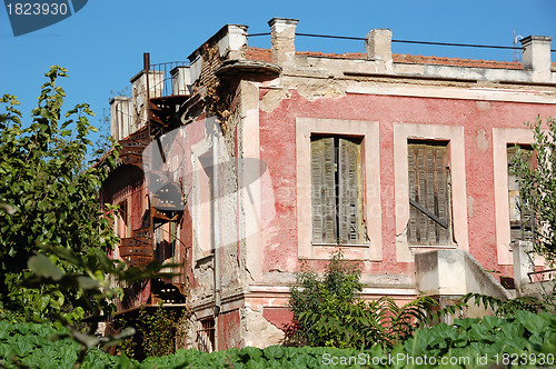 Image of overgrown garden