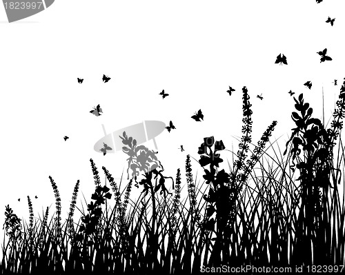 Image of meadow silhouettes