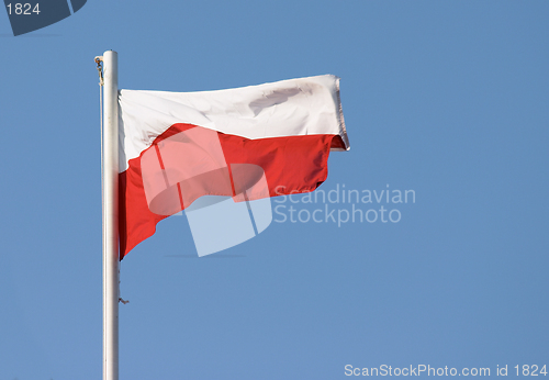 Image of Polish flag