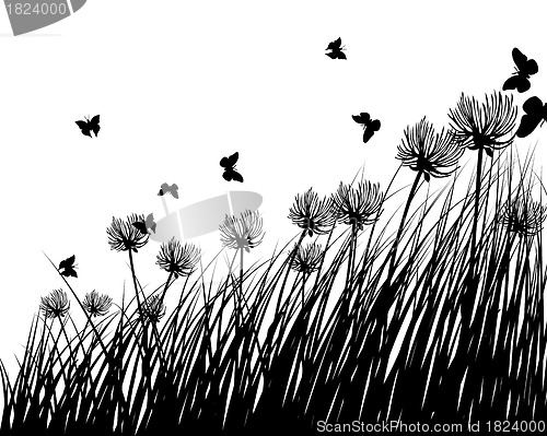 Image of meadow silhouettes