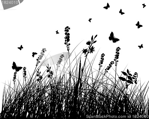 Image of meadow silhouettes