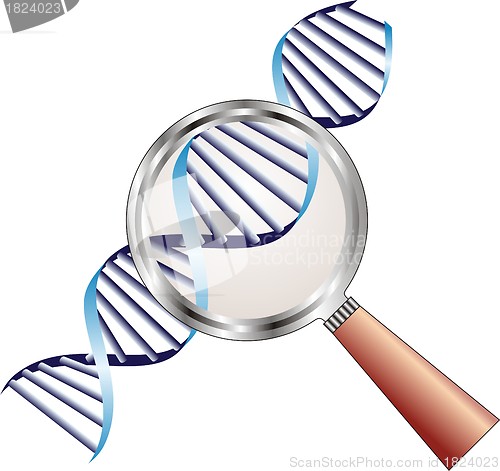 Image of DNA helix under magnifying glass in focus of attention, biochemistry  