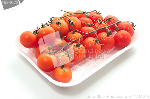 Image of Cherry tomatoes on vine with water drops.