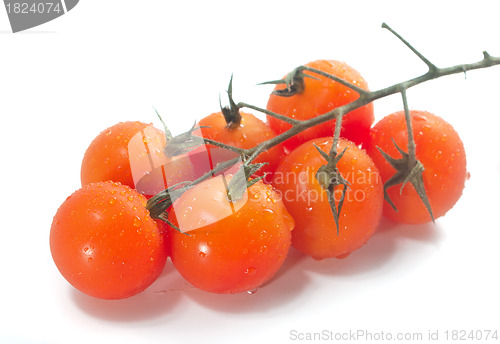 Image of Cherry tomatoes on vine with water drops.