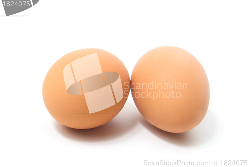 Image of Eggs on a plain background