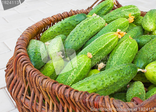 Image of Basket  filled by cucumbers