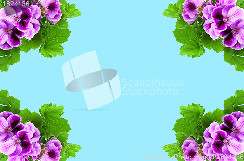 Image of Card with lilac flowers