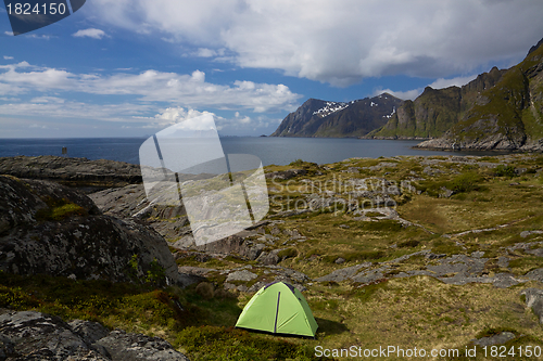 Image of Camping on Lofoten