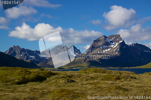 Image of Lofoten