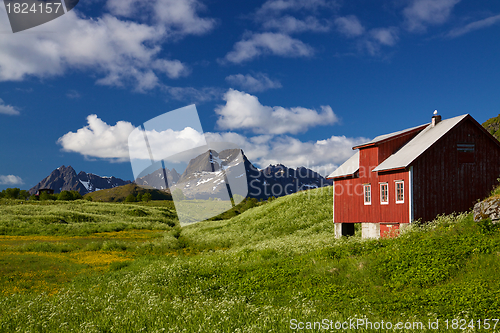 Image of Picturesque Lofoten panorama