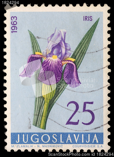 Image of Stamp printed in Yugoslavia shows iris