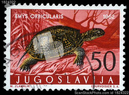Image of Stamp printed in Yugoslavia shows the European pond turtle