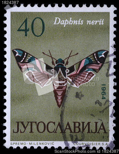 Image of tamp printed in Yugoslavia shows butterfly