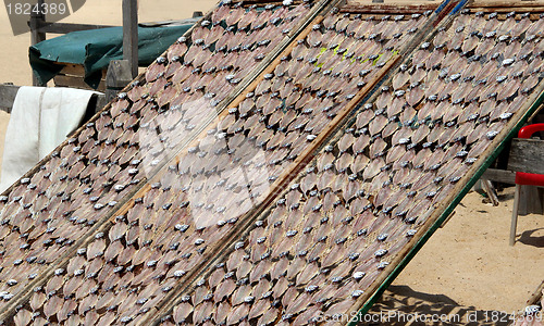 Image of Dried fish 