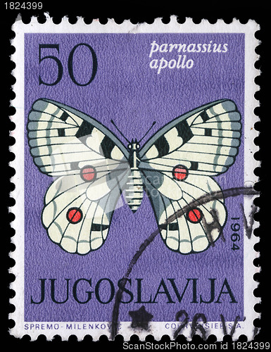 Image of tamp printed in Yugoslavia shows butterfly