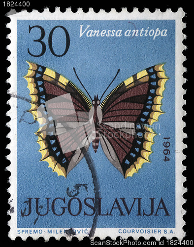 Image of Stamp printed in Yugoslavia shows butterfly