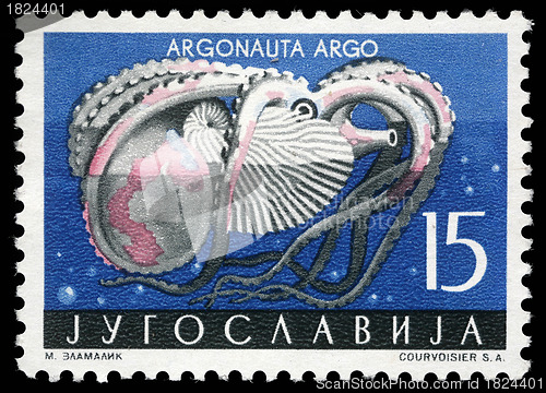 Image of Stamp printed in Yugoslavia shows the octopus