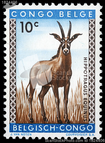 Image of tamp printed in Congo shows the roan antelope