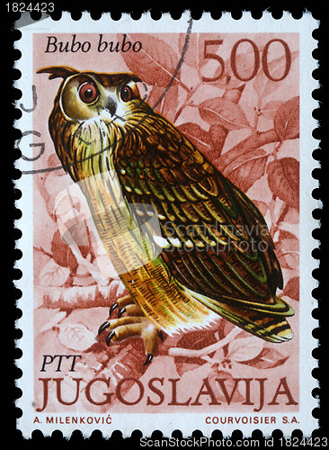 Image of Stamp printed in Yugoslavia shows the European Eagle Owl