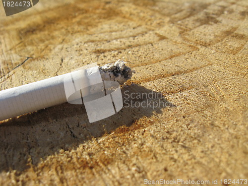 Image of Image of fuming cigarette laying on a tree