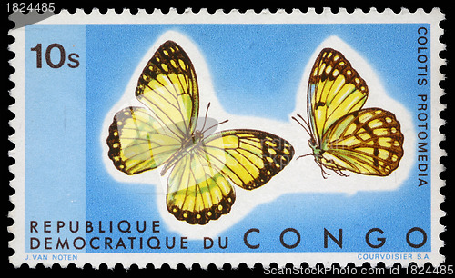 Image of Stamp printed in Congo showing Colotis Protomedia butterfly