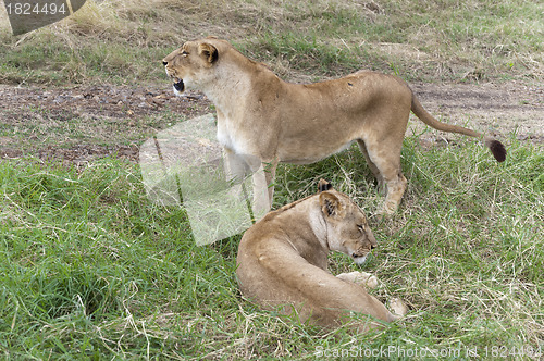 Image of Two sisters