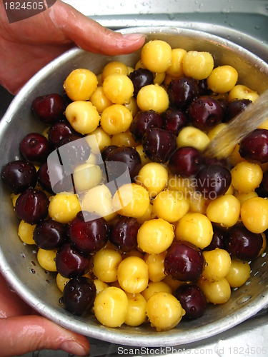 Image of Berries of a sweet cherry under jet of water