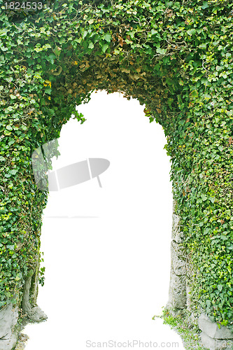 Image of Entrance made of green grass isolated.