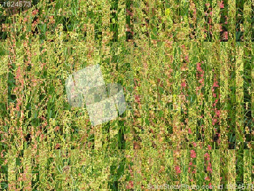 Image of Green abstract background