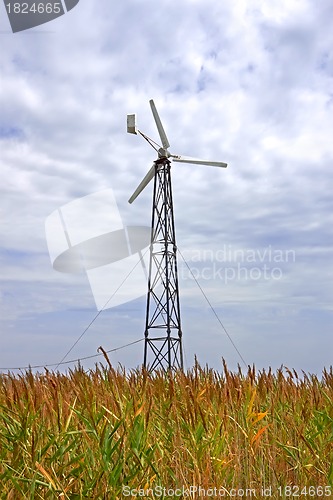 Image of Turbines among high reed 