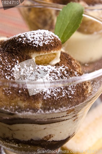 Image of Tiramisu Dessert 