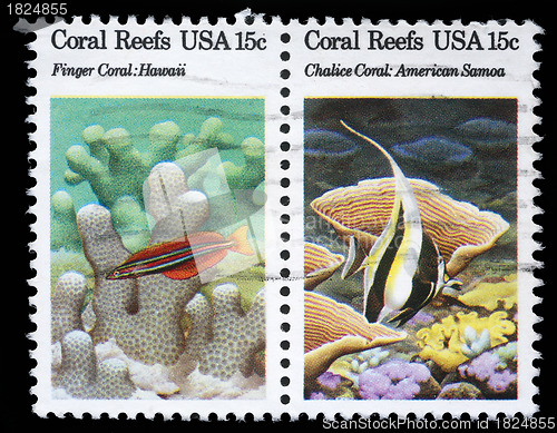 Image of Stamp printed in the USA shows Coral Reefs