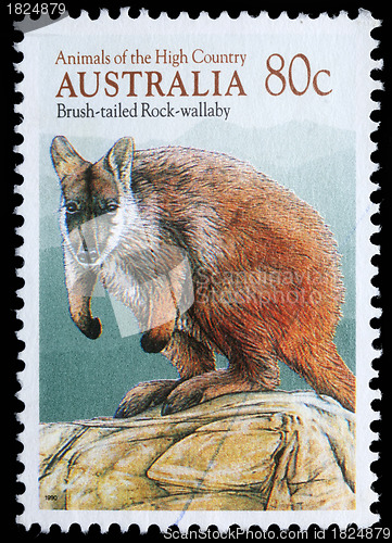 Image of Stamp printed in Australia shows image of a Brush-tailed Rock-wallaby