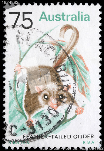 Image of Stamp printed in Australia shows image of a Feather Tailed Glider