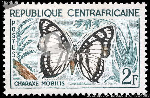 Image of Stamp printed in Central African Republic shows a butterfly