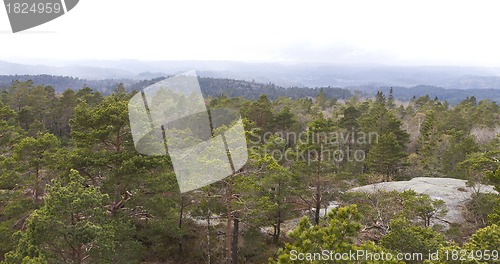 Image of forested landscape in south norway