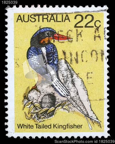Image of tamp printed in Australia shows image of a white tailed kingfisher