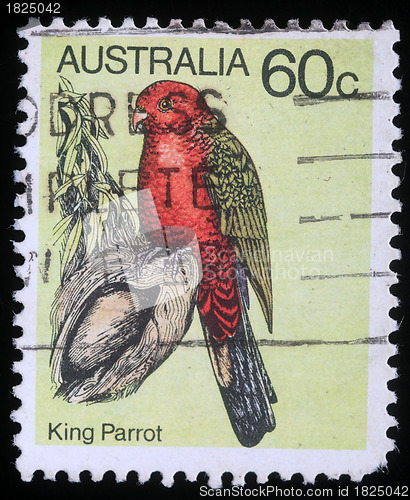 Image of Stamp shows image of a King Parrot
