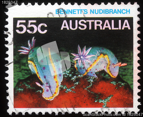 Image of Stamp printed in Australia shows Bennetts Nudibranch