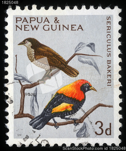 Image of tamp printed in Papua New Guinea shows a bird, sericulus bakeri