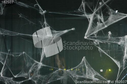 Image of Scary night with spidernet