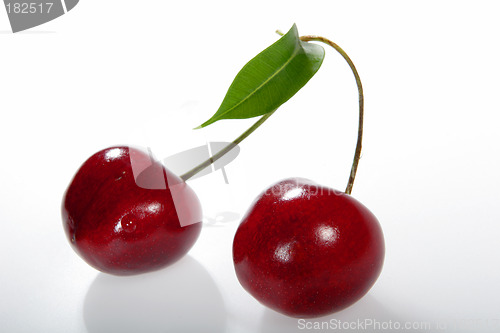 Image of two cherries with shadows on a branch